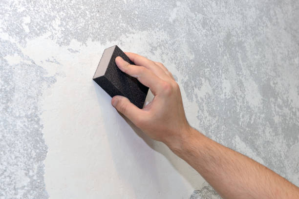 Best Mold Damage Restoration  in Stonegate, CO