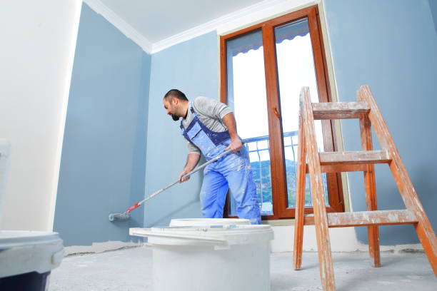 Best Post-Construction Mold Inspection  in Stonegate, CO