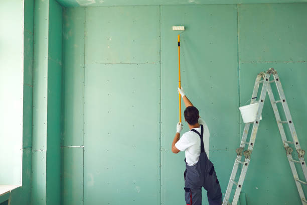 Best Attic Mold Removal  in Stonegate, CO