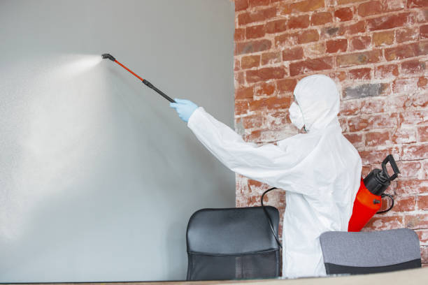 Best Forensic Mold Investigation  in Stonegate, CO