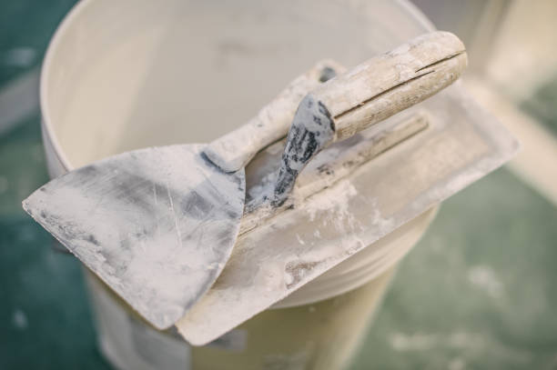 Best Real Estate Mold Inspection  in Stonegate, CO