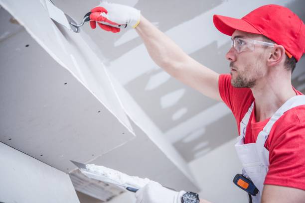 Best Residential Mold Inspection & Testing  in Stonegate, CO